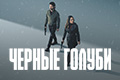 Черные голуби